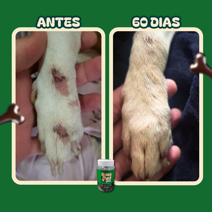 Parou de lamber as patas