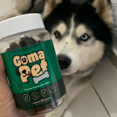 GomaPet Social 2